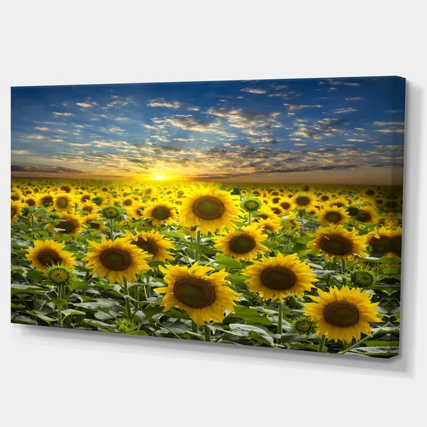 Design Art Field of Blooming Sunflowers Photographic Print on Wrapped Canvas, Green