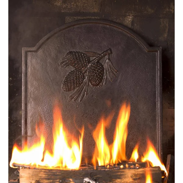 Plow & Hearth 66A88 Cast Iron Fireback - Pine Cone Design