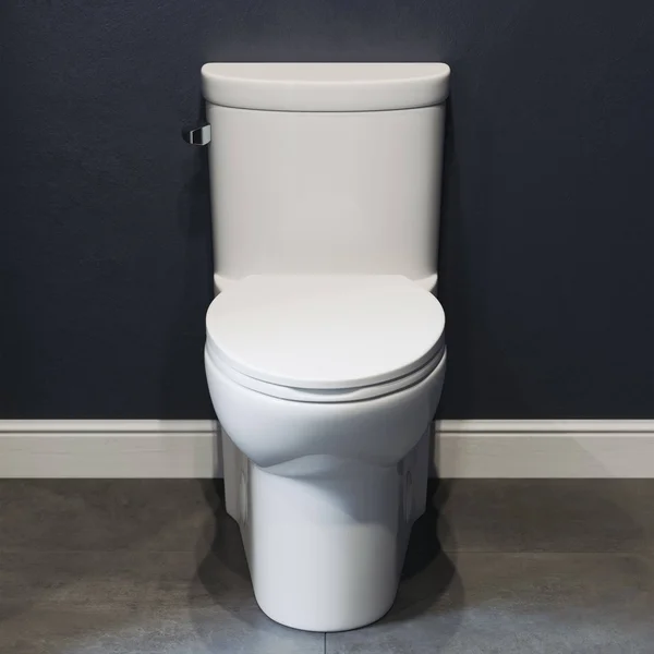 Swiss Madison SM-1T206 Sublime 1.28 GPF One Piece Elongated Toilet, White