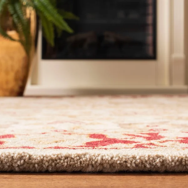 Safavieh Anatolia Ivory & Red Area Rug; 3& x 5&