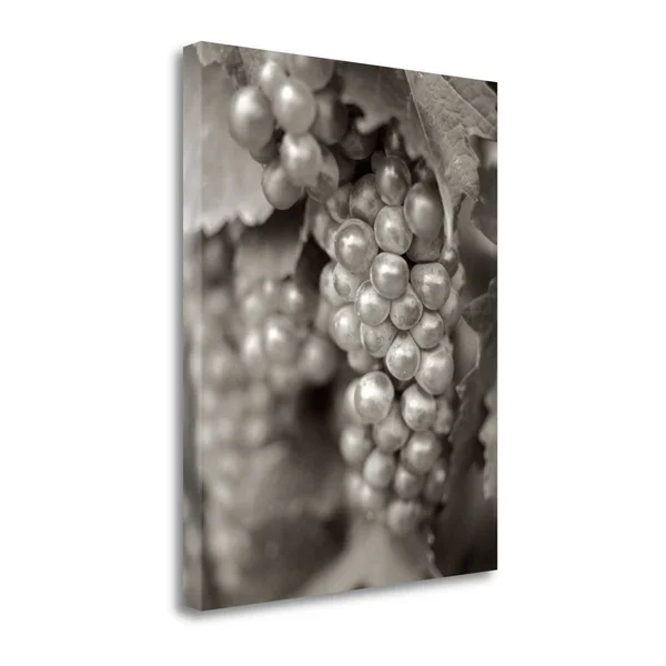45x22 x 35x22 Grapes - 20 by Alan Blaustein Fine Art Giclee Print