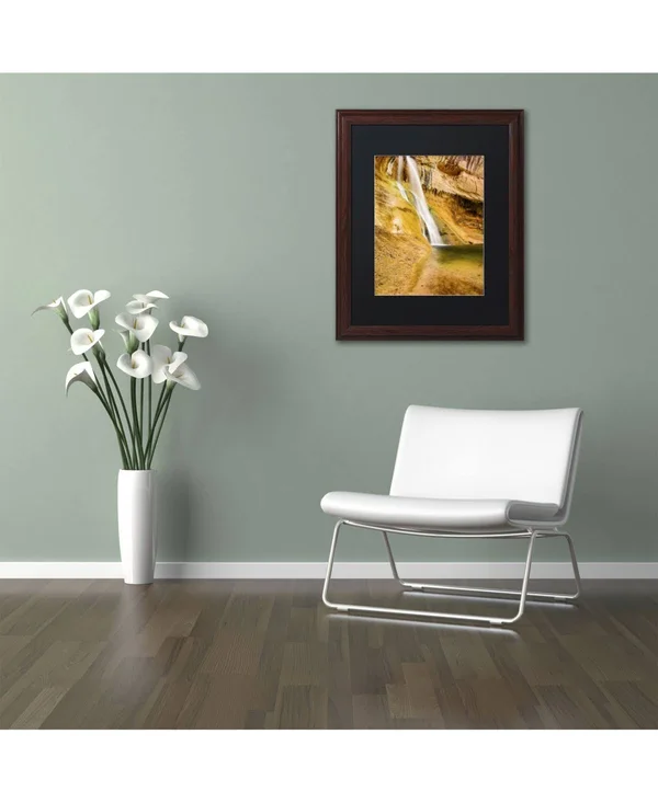 Trademark Fine Art &Desert Oasis& by Michael Blanchette Framed Photographic Print - Size: 14x22 H x 11x22 W x 0.5x22 D - Matte Co