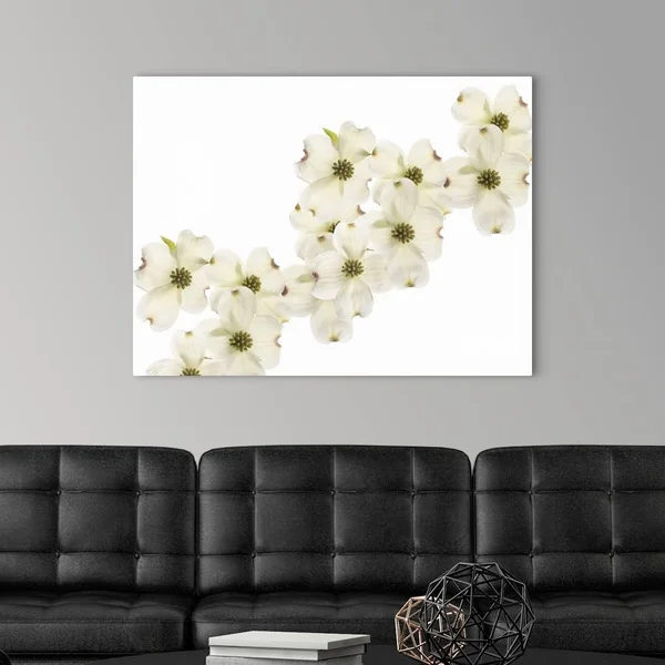 Dogwood Beauty - Canvas Wall Art, 40x30, Great Big Canvas