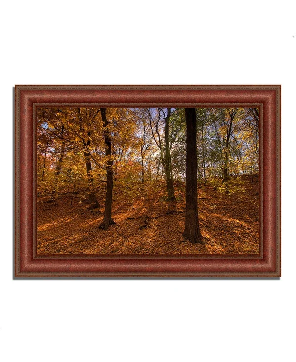 45x22 x 64x22 Sun Spackled Wood Framed Photograph Print