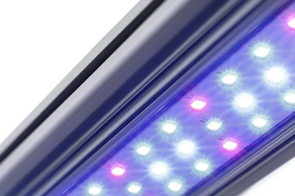 Kind LED X80 Flower Bar Light, 4&