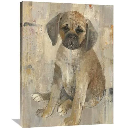Global Gallery Albena Hristova 'Paco' Canvas Wall Art - Size: 30 x 40