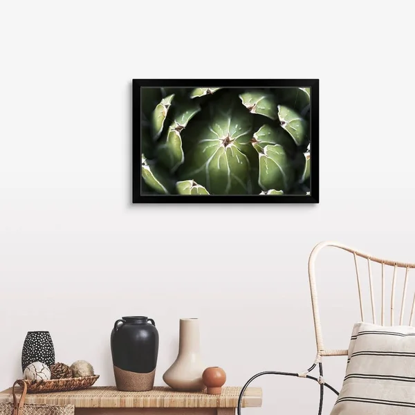 Photo Nature - Queen Victoria Agave - Black Framed Wall Art, 30x20, Great Big Canvas