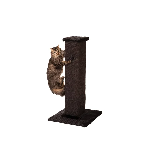 Max & Marlow Sisal Scratch Post Tower, Black