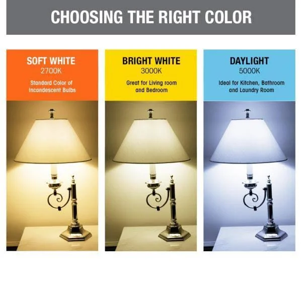 Feit Electric 25-Watt Equivalent (2700K) B10 Dimmable Filament LED Clear Glass Light Bulb - Soft White (12-Pack)