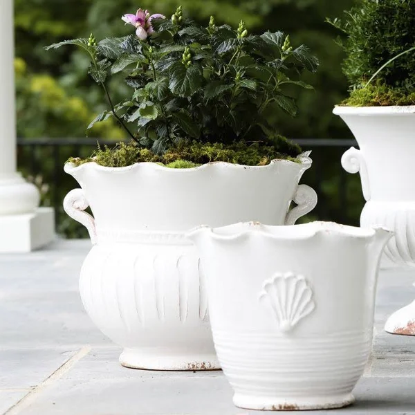Vietri Rustic Garden White Large Scallop Planter