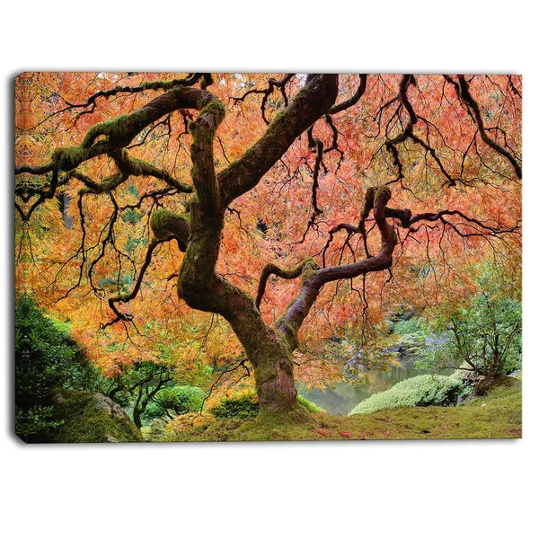 Designart - Autumn Maple Tree - Landscape Photography Canvas Print - Red 40 in. Wide x 30 in. High