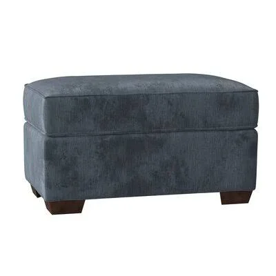 Bonin Ottoman Darby Home Co Body Fabric: Empire Shadow