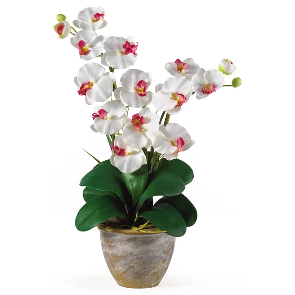 Nearly Natural Double Stem Phalaenopsis Silk Orchid Arrangement Mauve