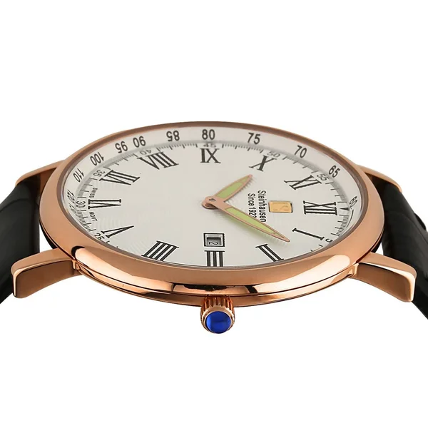 Steinhausen Classic Men's S0119 Altdorf Swiss Quartz Rose Gold Black Leather Band Watch