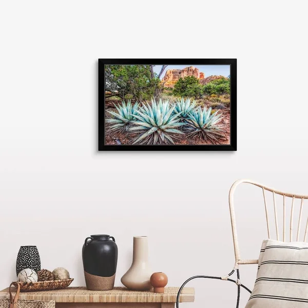 Agave Plants and Cathedral Rock - Sedona AZ, Black Framed Wall Art, 30x20, Great Big Canvas