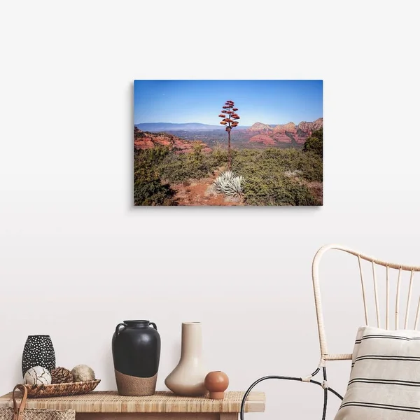 Agave Americana Flowering Stalk - Sedona, Arizona, Canvas Wall Art, 30x20, Great Big Canvas