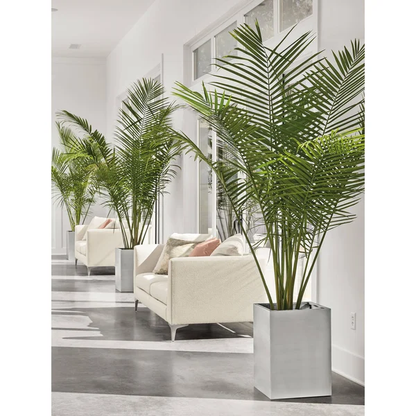 Room & Board, Modern Terrace Square Planter 16d 16W 22H in Saffron Yellow