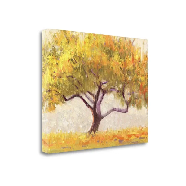 18x22 x 22x22 Apricot Tree by Shirley Novak Fine Art Giclee Print