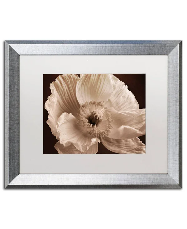Trademark Art Sepia Poppy I by Cora Niele Framed Photographic Print Size: 16x22 H x 20x22 W x 0.5x22 D, Frame Color: Silver