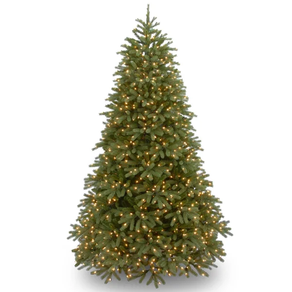 National Tree Jersey Fraser Fir Medium Tree with Clear Lights 6.5&