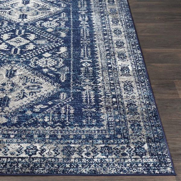 Andes 6&7x22 x 9& Updated Traditional Area Rug - Hauteloom