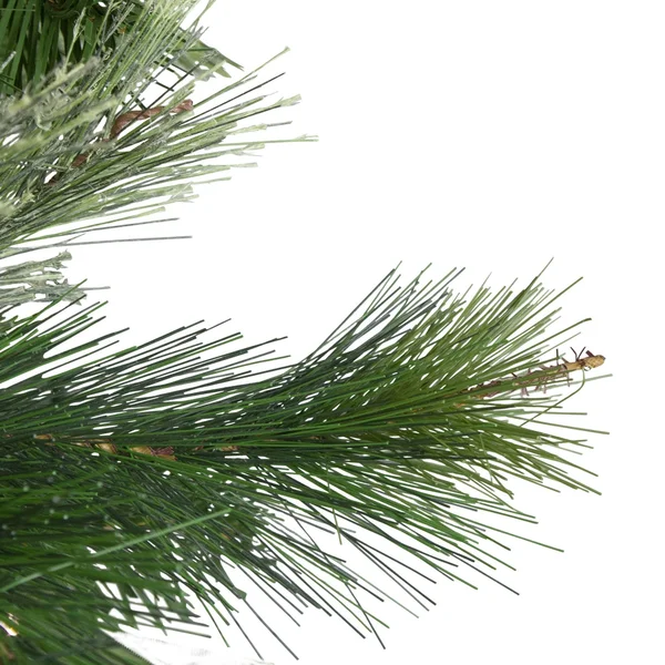 Northlight 9.5 ft. x 67 in. Cashmere Mixed Pine Full Artificial Christmas Tree - Unlit