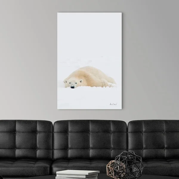 Polar Bear Cooling Off After Wrestling Match, Canvas Wall Art, 24x36, Great Big Canvas