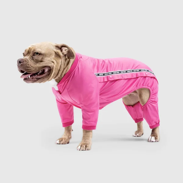 Tear-A-Way Onesie - Black - Canada Pooch
