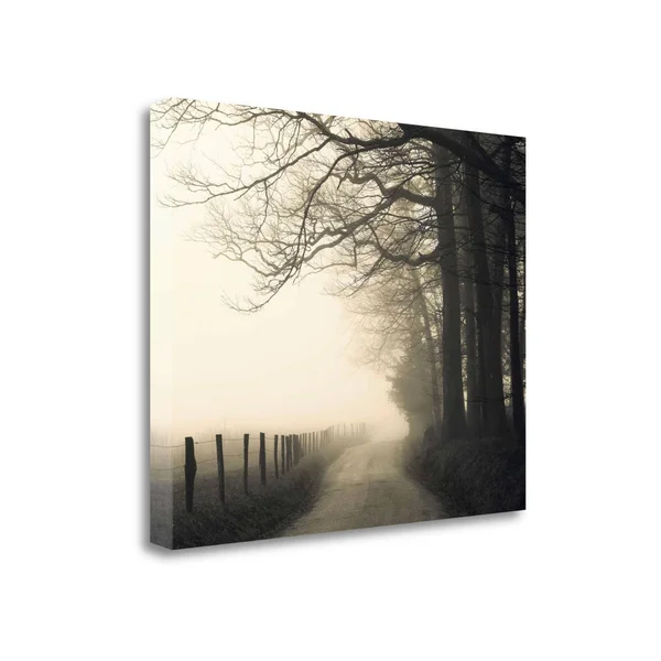 Tangletown Fine Art Hyatt Lane by Nicholas Bell, Fine Art Giclee Print on Wrap Canvas, 32x26x22