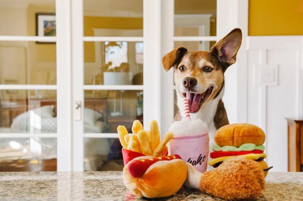 P.L.A.Y. Pet American Classic Five-Piece Plush Toy Set