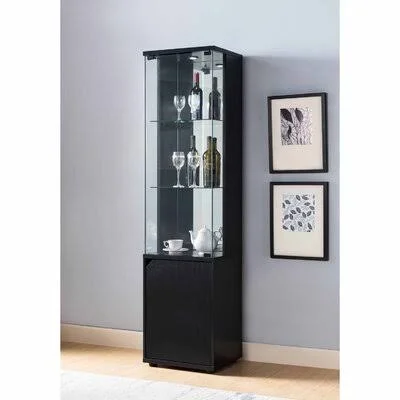 Lighted Curio Cabinet Latitude Run Color: Black