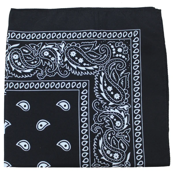 Pack of 36 Daily Basic 100% Cotton 22 x 22 Paisley Printed Bandana (Black)