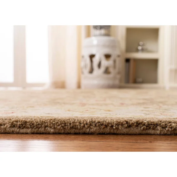 Safavieh Anatolia Tan/Ivory 6 ft. x 9 ft. Area Rug