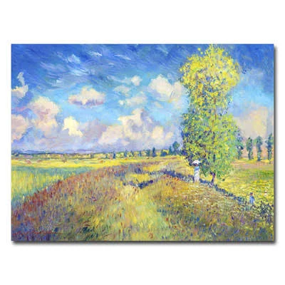 Trademark Art &Summer Field of Poppies& by David Lloyd Glover Framed Painting Print on Wrapped Canvas Size: 26x22 H x 32x22 W x