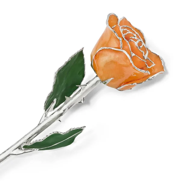 Lacquer Dipped Silver Trim Orange Rose