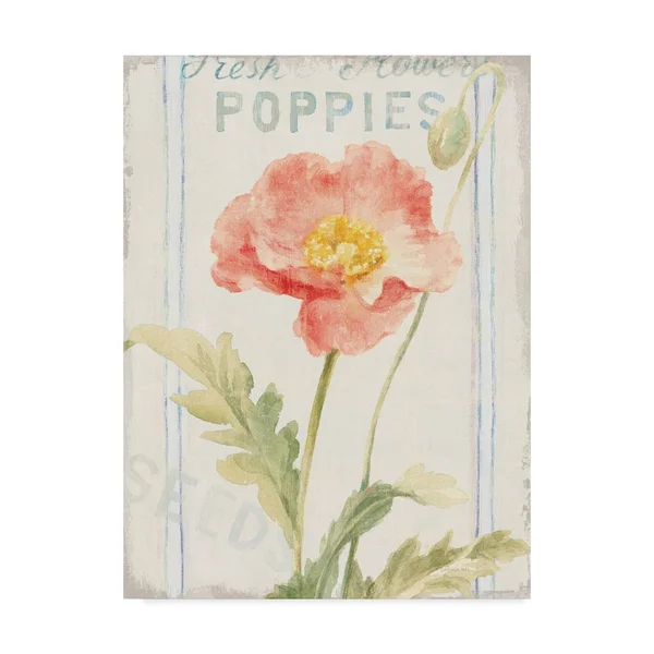Trademark Fine Art 'Floursack Florals IV' Canvas Art by Danhui Nai, Size: 35 x 47
