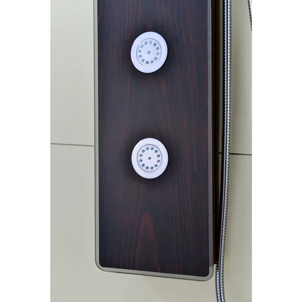 Anzzi SP-AZ021 Pure 59 in. 3-Jetted Shower Panel with Heavy Rain Shower and Spray Wand in Mahogany Deco-Glass
