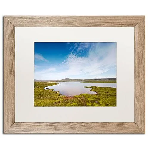 Trademark Art Universal by Philippe Sainte-Laudy Framed Photographic Print Size: 16x22 H x 20x22 W x 0.5x22 D, Frame Color: Birc