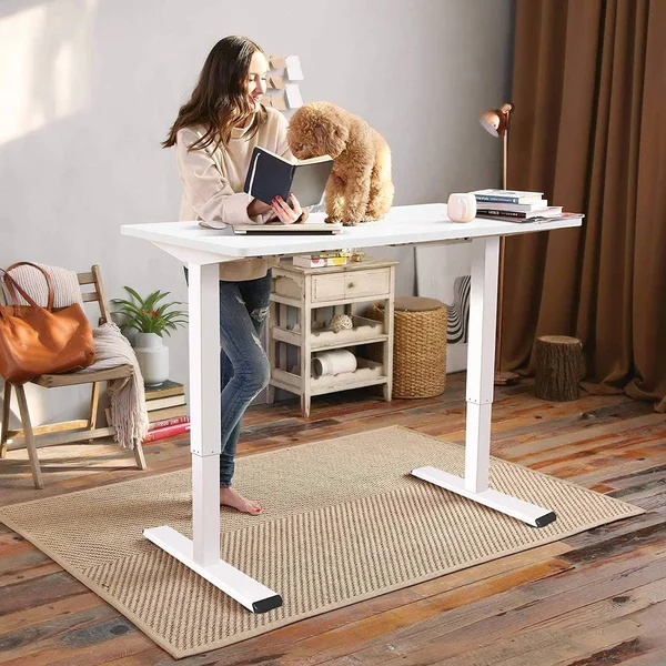 FlexiSpot EC1 Electric White Standing Desk Adjustable Height Desk, 48 x 30 Inches Whole Piece Board Sit Stand Desk Home Office W
