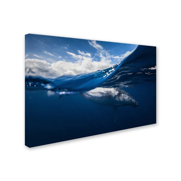 Trademark Art Barathieu Gabriel 'Humpback Whale and The Sky' Canvas Art - ShopLadder
