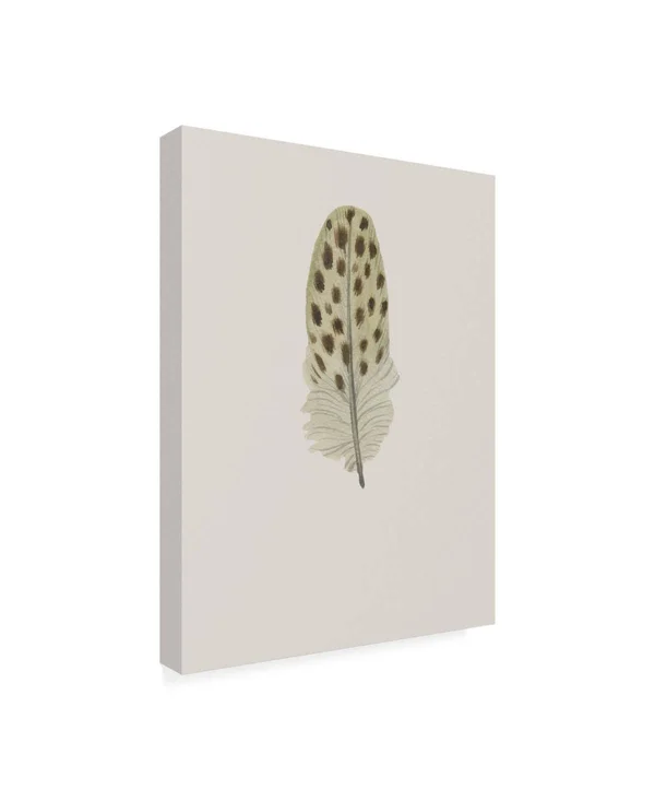 Trademark Fine Art Ic01713-C2432Gg Incado 'Feather 10' Canvas Art - 24X3