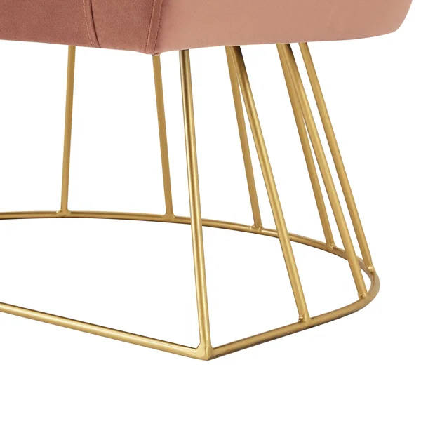 Adalene Velvet Accent Chair (Blush/Gold)