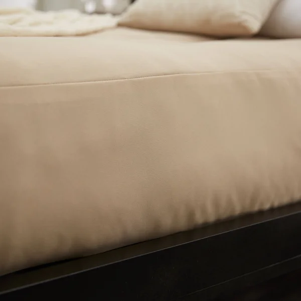 Porch & den Hansen Queen-size 5-Inch Futon Mattress - Seafoam