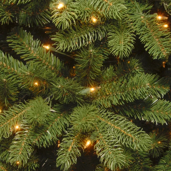 7’ Newberry Spruce Artificial Christmas Tree – Clear Lights