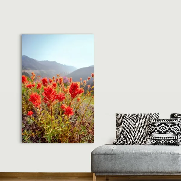 Scarlet Paintbrush - Mount Rainier National Park, Washington, Canvas Wall Art, 40x60, Great Big Canvas