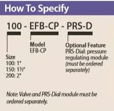 Rain Bird - 200EFBCP 24 VAC 2x22 Electric Brass Irrigation Valve