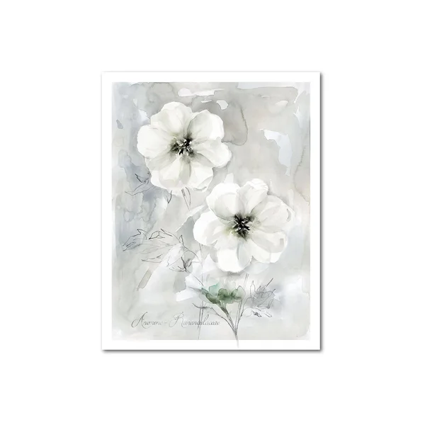 Courtside Market White Anemone II Gallery Canvas Wall Art, 20x24