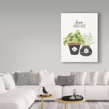 Trademark Fine Art 'Fine Herbs V' Graphic Art Print on Wrapped Canvas, White