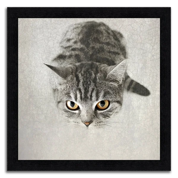 Tangletown Fine Art Happy Cat? Framed Photograph Print in Acrylic Finish