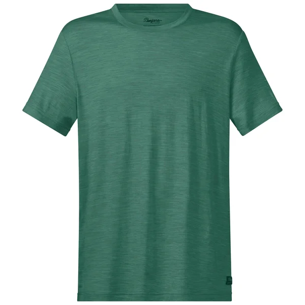 Bergans Oslo Wool Tee Green - Men Merino Short-sleeved T-Shirt (Size XXL - Color Forest Frost)